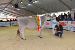 Portmann BS Jongleur JOLENE Champion 2015